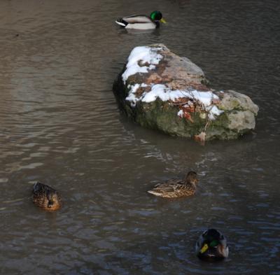 Прикрепленное изображение: p1.jpg